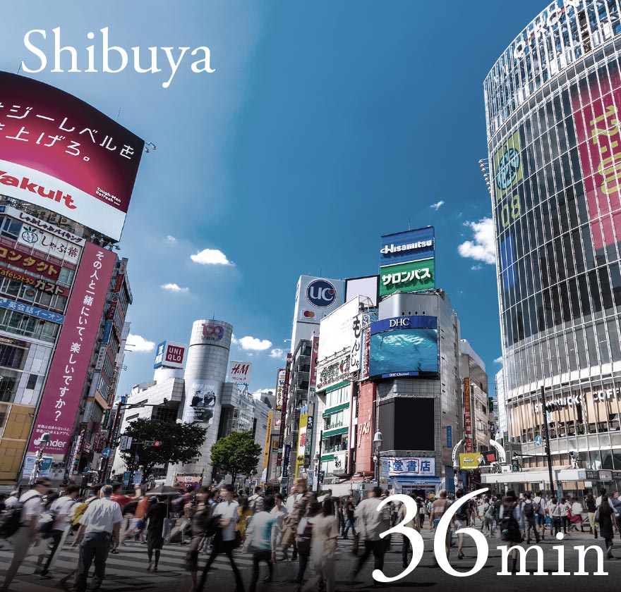 Shibuya　36min