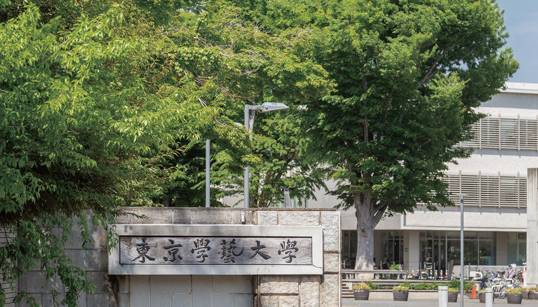 東京学芸⼤学