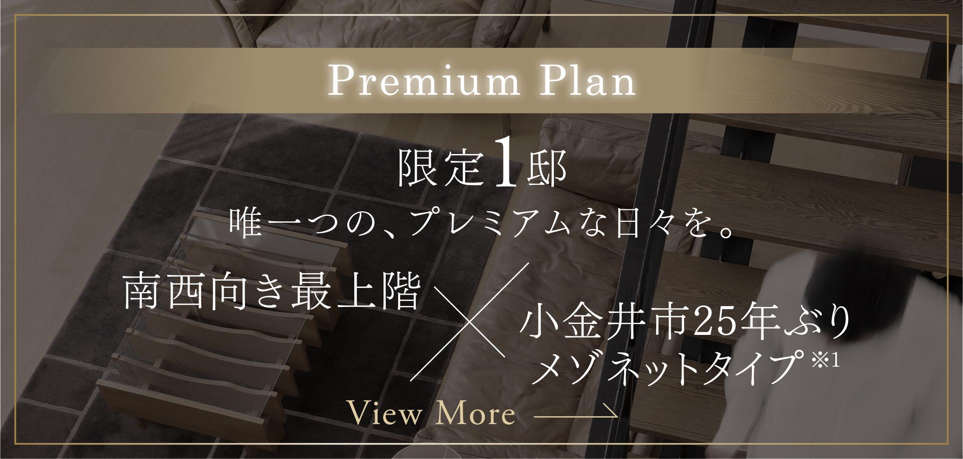 Premium Plan